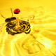 Image for article titled Shooting Challenge: Water Drop Gallery Part 3